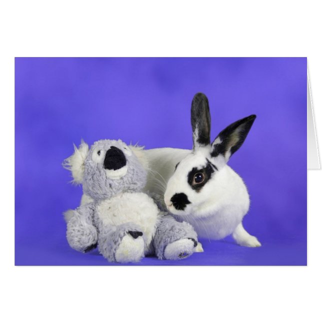 Lenox Hälsningskort (Framsidan Horizontal)