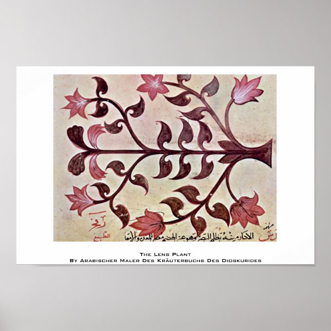 Lens Plant Poster (Framsidan)