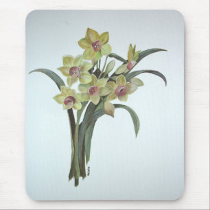 Lent Lily Musmatta