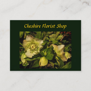 Lenten Ro Hellebore Florist Visitkort