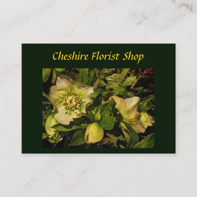Lenten Ro Hellebore Florist Visitkort (Framsida)