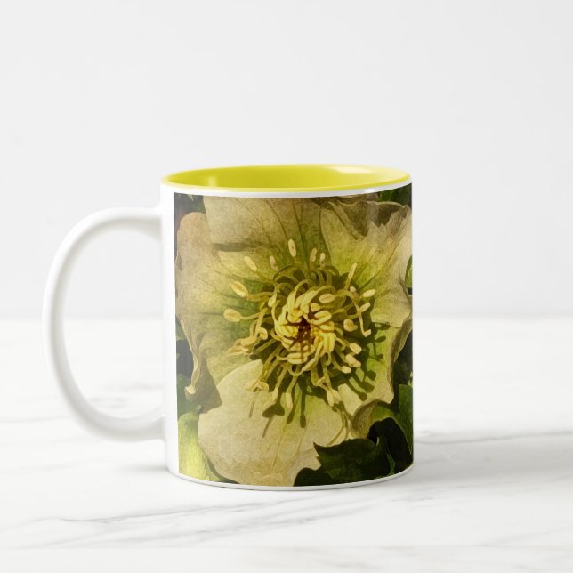 Lenten Ro Hellebore Två-Tonad Mugg (Vänster)
