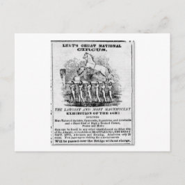 Lent's Underbar National Circus Annons Vykort