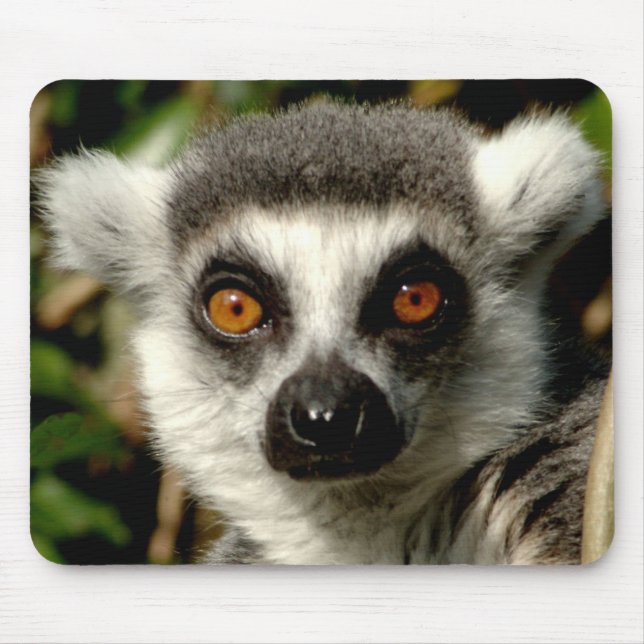 Lenur Mousepad Musmatta (Framsidan)