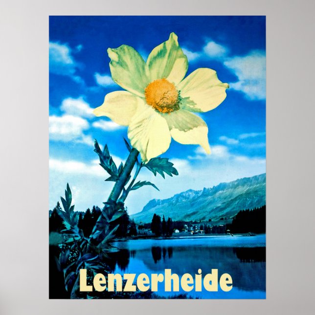 Lenzerheide, Schweiz, sommarblomma på sjö Poster (Framsidan)