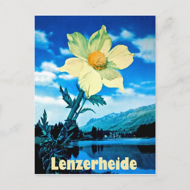 Lenzerheide, Schweiz, sommarblomma på sjö Vykort (Framsida)