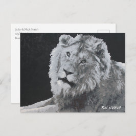 Leo, Afrikansk Lejon, Djur Vykort