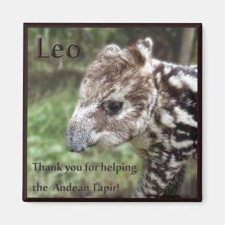 Leo Andean Tapir Magnet