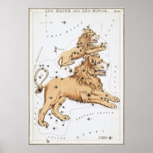 Leo Astrological Teckning Poster