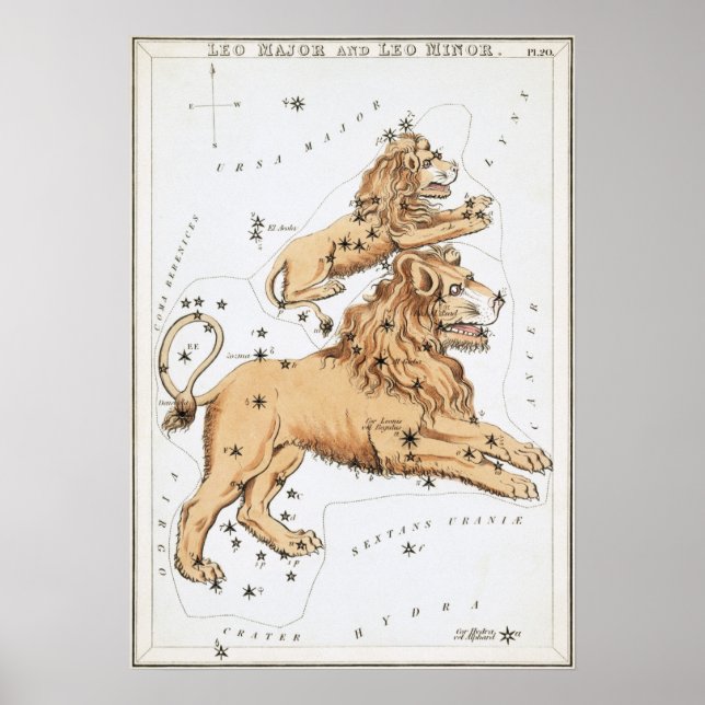 Leo Astrological Teckning Poster (Framsidan)