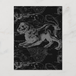 Leo Constellation Hevelius 1690 Decor Vykort