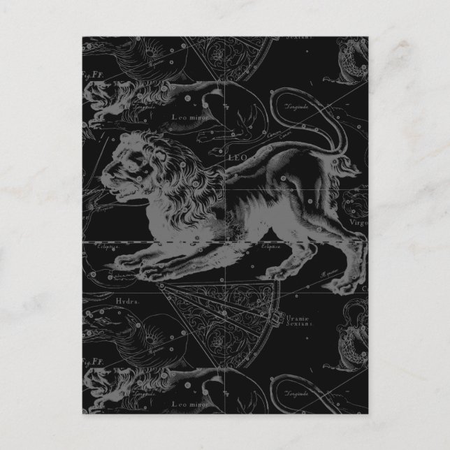 Leo Constellation Hevelius 1690 Decor Vykort (Framsida)