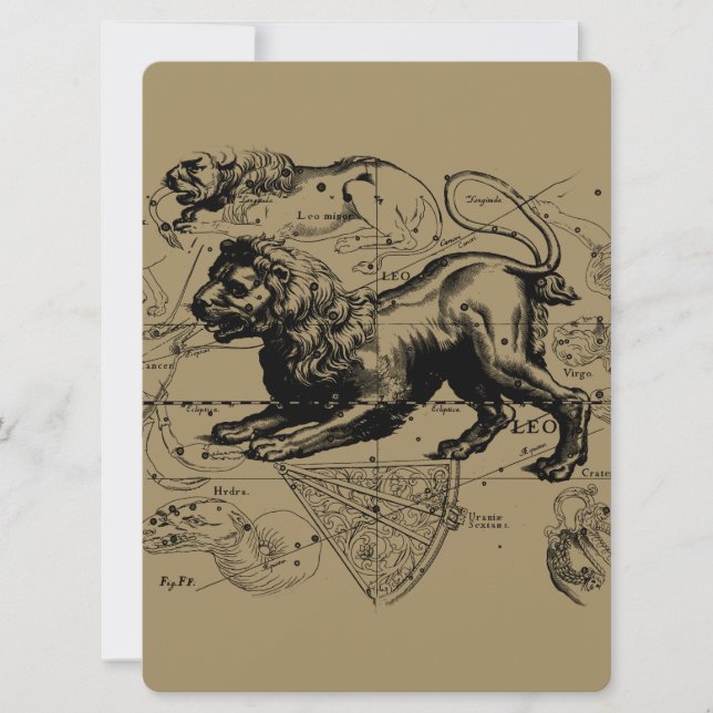 Leo Constellation Hevelius 1690 juli 23-22 augusti (Framsida)