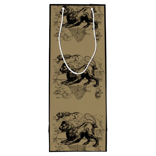 Leo Constellation Hevelius 1690 juli 23-22 augusti (Baksidan)