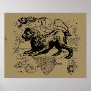 Leo Constellation Hevelius 1690 juli 23-22 augusti Poster