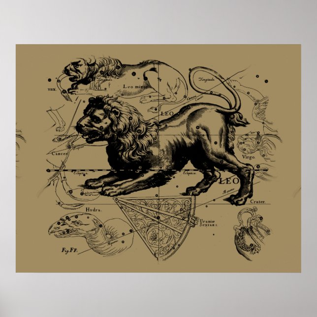 Leo Constellation Hevelius 1690 juli 23-22 augusti Poster (Framsidan)