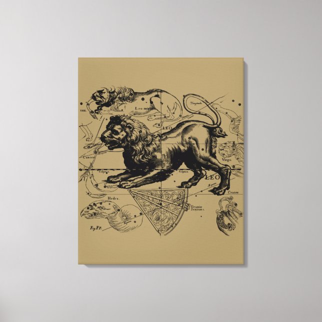 Leo Constellation Hevelius 1690 juli 23 augusti 22 Canvastryck (Framsida)