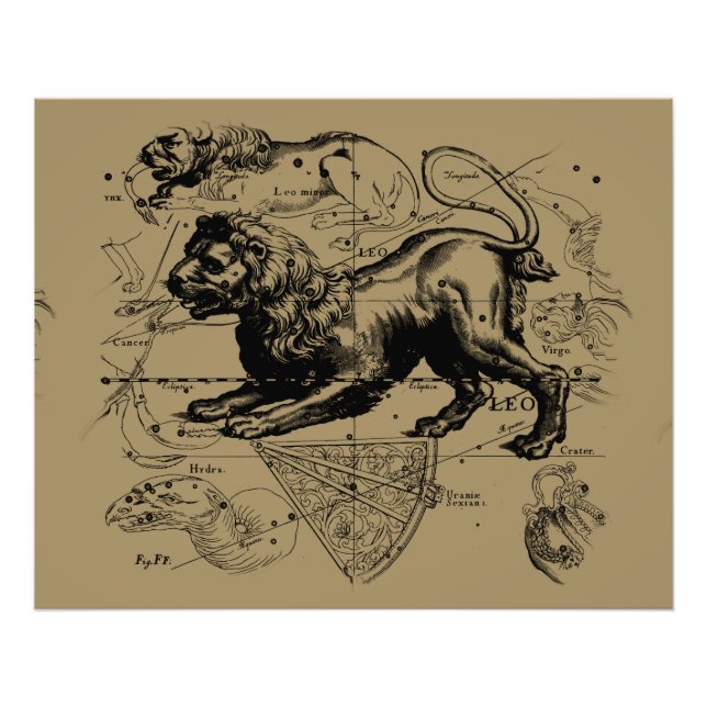 Leo Constellation Hevelius 1690 juli 23 augusti 22 Fototryck (Framsidan)