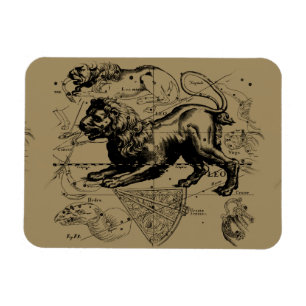 Leo Constellation Hevelius 1690 juli 23 augusti 22 Magnet