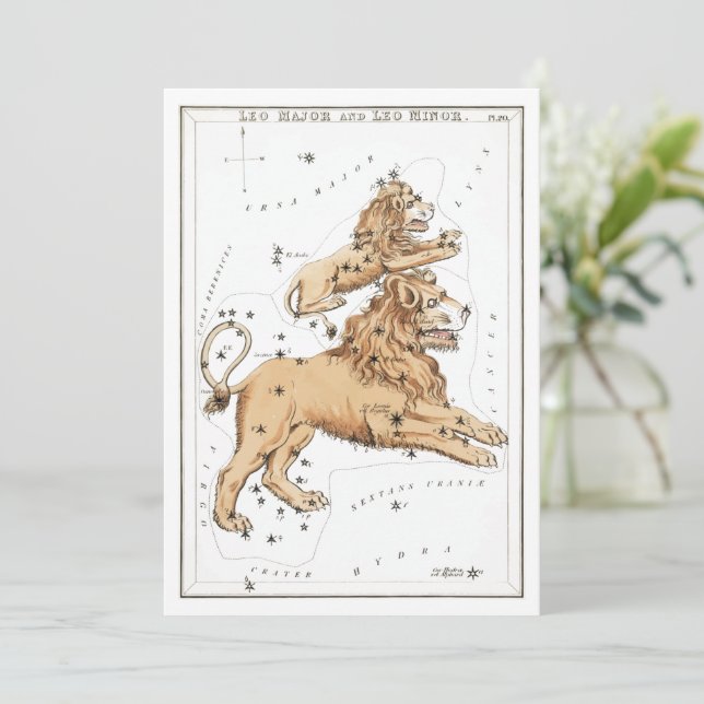 Leo - Constellation - Horoscope - Zodiac - Stars Inbjudningar (Stående Fram)