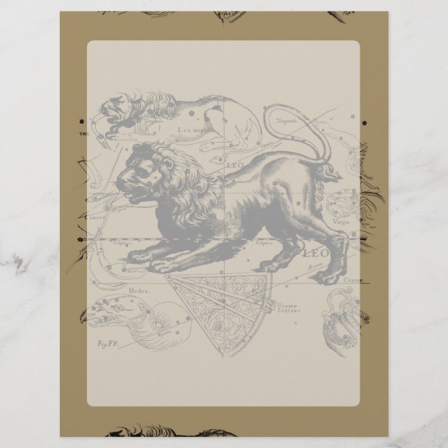 Leo Constellation Karta Hevelius 1690 on Taupe (Framsida)