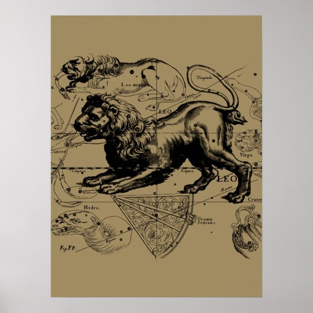 Leo Constellation Karta Hevelius 1690 on Taupe Poster (Framsidan)