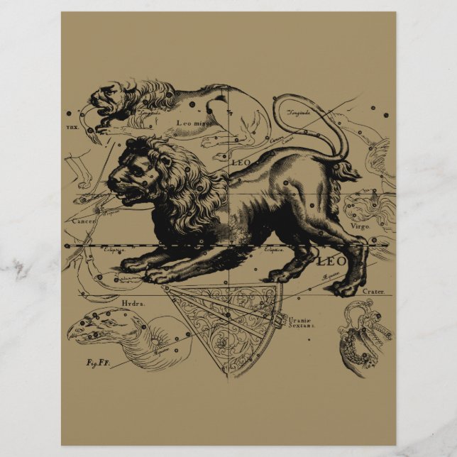 Leo Constellation Karta Hevelius circa 1690 (Framsida)