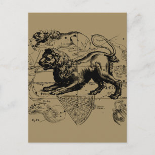 Leo Constellation Karta Hevelius circa 1690 Vykort