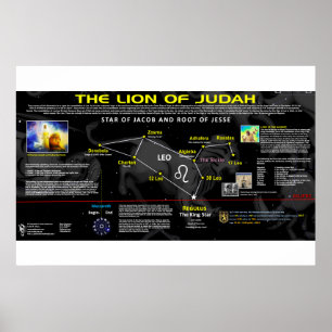 Leo konstellation - som är lejon av Judah Poster