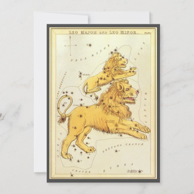 Leo Lejon Urania's Mirror Stjärnbildskonstellation Inbjudningar (Framsida)
