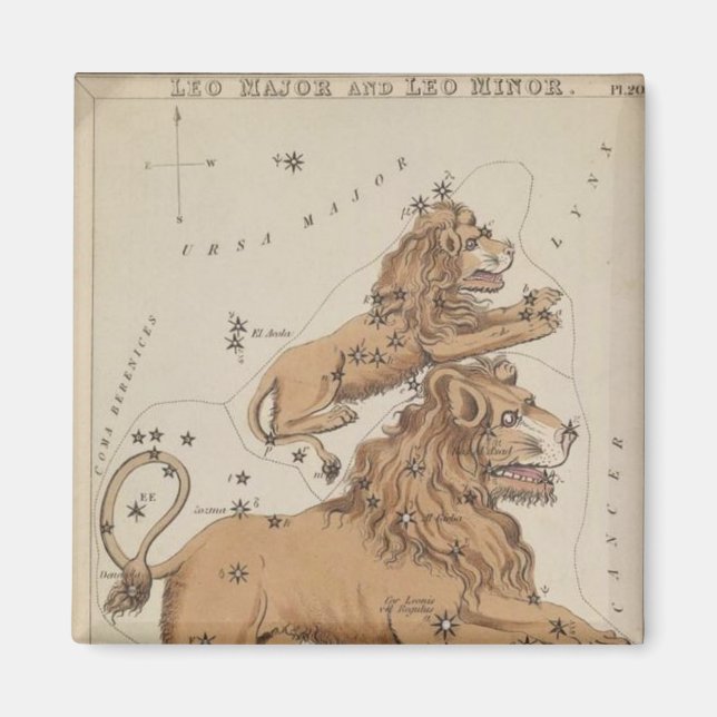 Leo Magnet (Framsidan)