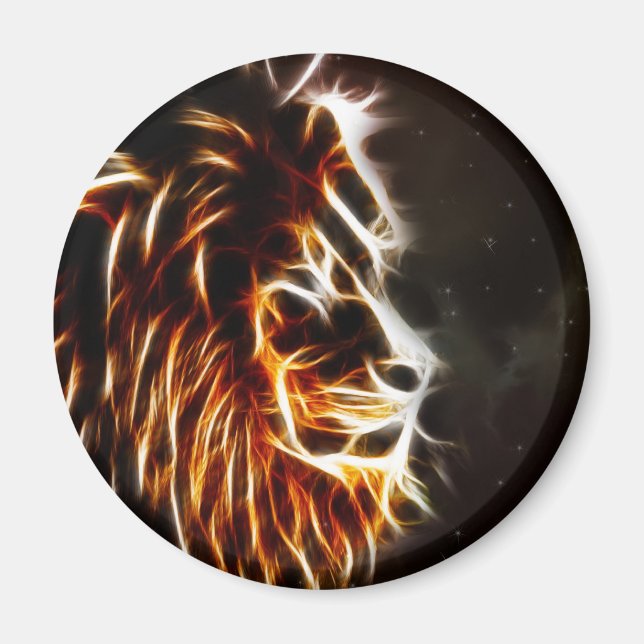 Leo Magnet (Framsidan)