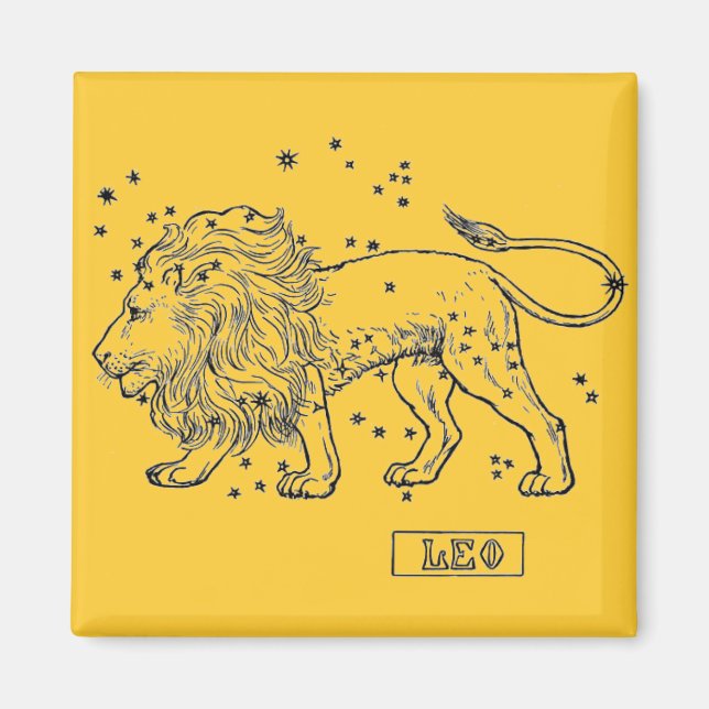 Leo Magnet (Framsidan)