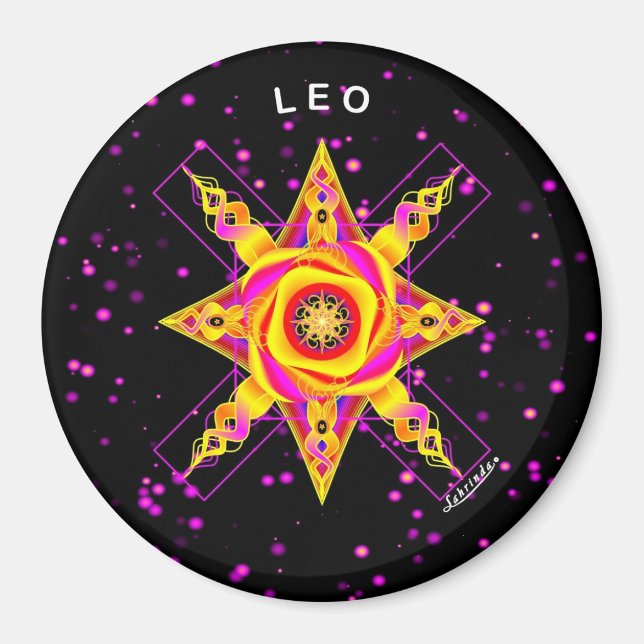 LEO MAGNET (Framsidan)