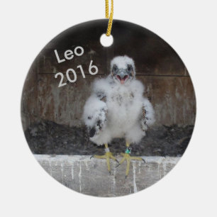 Leo prydnad 2016 julgransprydnad keramik