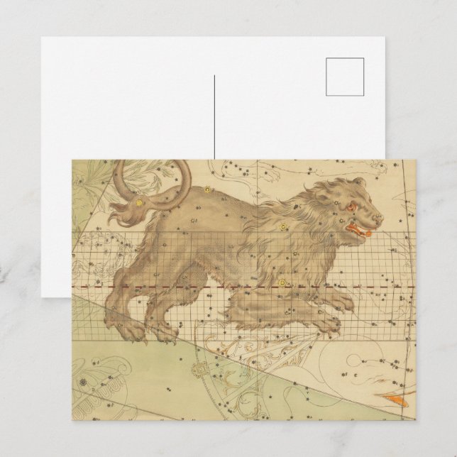  Leo star sign restored antique map Vykort (Fram/baksida)