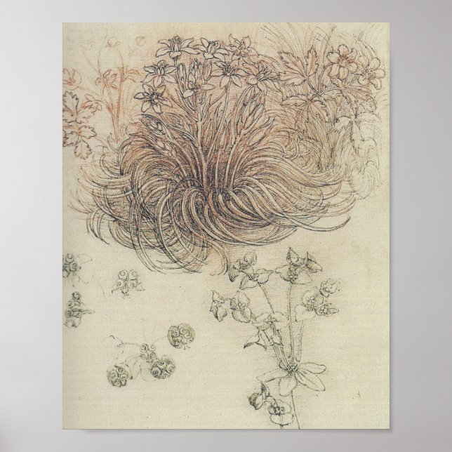 Leonardo Botanical Study Poster (Framsidan)