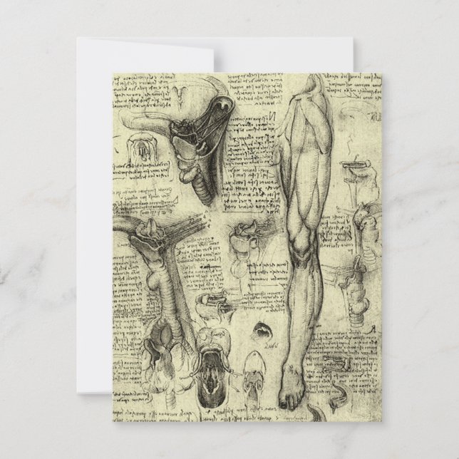 Leonardo da Vinci Ålderdomlig Människans Anatomi S (Framsida)