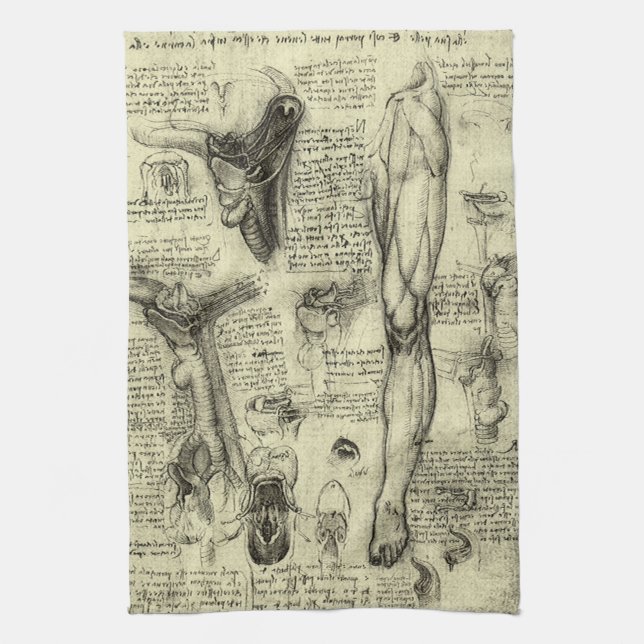 Leonardo da Vinci Ålderdomlig Människans Anatomi S Kökshandduk (Vertikal)