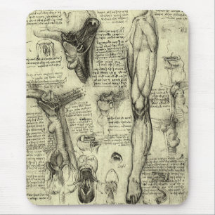 Leonardo da Vinci Ålderdomlig Människans Anatomi S Musmatta