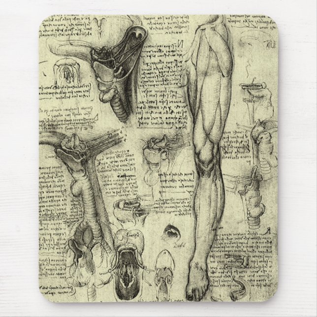 Leonardo da Vinci Ålderdomlig Människans Anatomi S Musmatta (Framsidan)