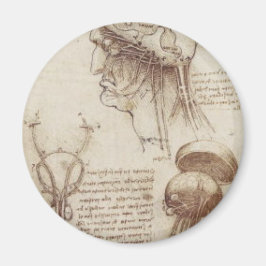 Leonardo da Vinci - Brain Physiology Magnet