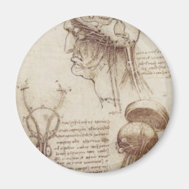 Leonardo da Vinci - Brain Physiology Magnet (Framsidan)