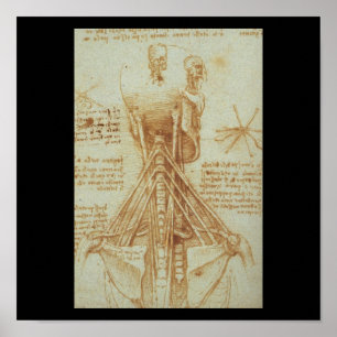 Leonardo Da Vinci C. Anatomin i Nacke. 1515 Poster