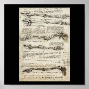 Leonardo Da Vinci C:s studier av Arm. 1510 Poster
