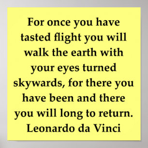 leonardo da vinci-citat poster