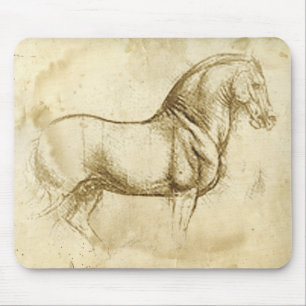 Leonardo Da Vinci häst Musmatta