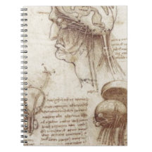 Leonardo Da Vinci - hjärnPhysiology