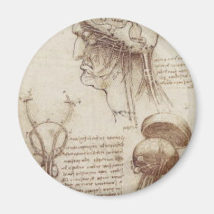 Leonardo Da Vinci - hjärnPhysiology Magnet