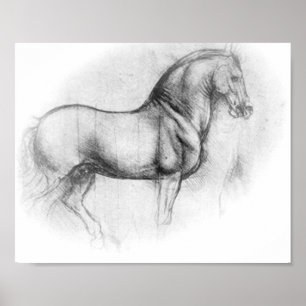 Leonardo Da Vinci Horse poster
